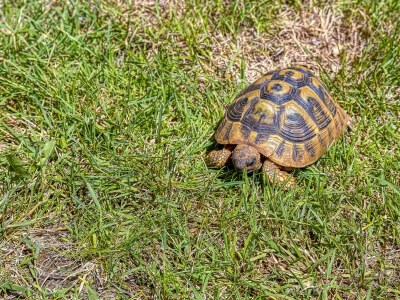 Holiday apartment Irena - Outdoor photo 4