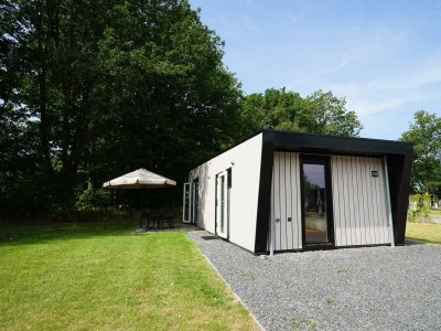 Holiday house Just Nature Light 4 in Ijhorst - Holiday house