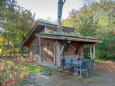 Holiday house Nature Lodge 6 in Otterlo - Holiday house