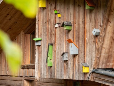 Holiday house Nature Lodge 8 - Outdoor photo 9