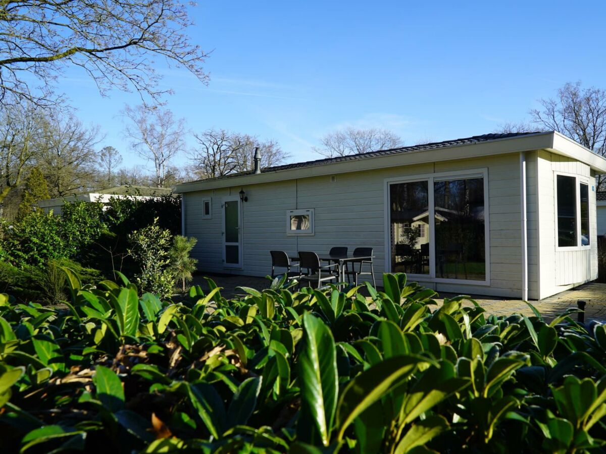 Holiday house Unique Nouveau 4