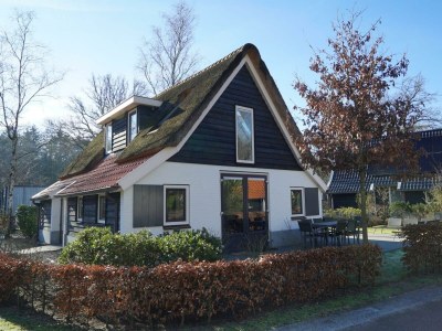 Villa Villa Veluwe 8 - Outdoor photo 17