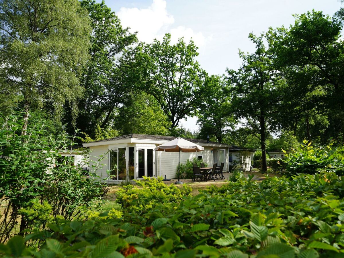 Holiday house Exclusif 6