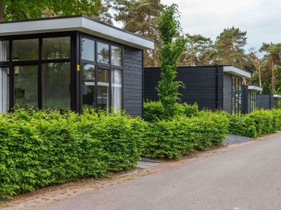 Holiday house L-Cube Sauna 4 in Belfeld - Holiday house