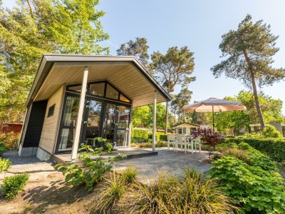 Holiday house Tiny House 4 in Lochem - Holiday house