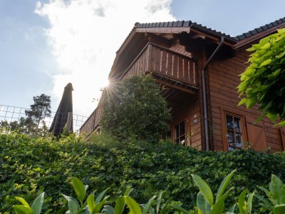 Holiday house Boekhorst l'etage 12 - Outdoor photo 15