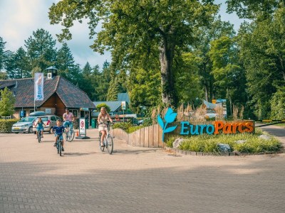 Holiday house Boekhorst 4 - Outdoor photo 9