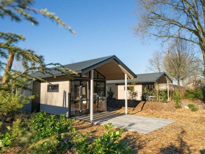 Holiday house Tiny Lodge 4 in Biddinghuizen - Holiday house