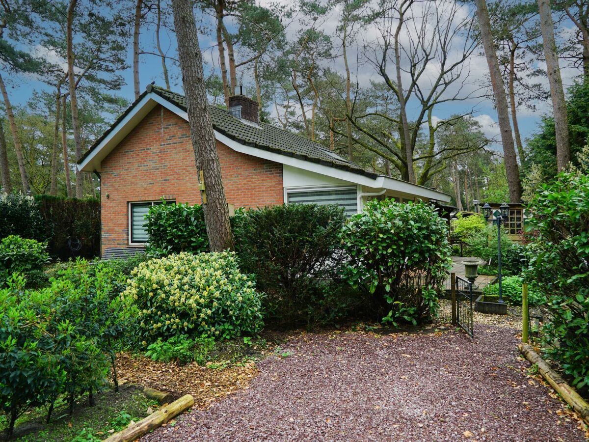 Holiday house Boshuis 6