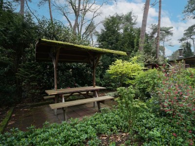 Holiday house Boshuis 6 - Outdoor photo 14