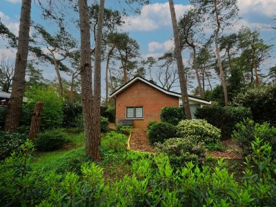 Holiday house Boshuis 6 - Outdoor photo 15