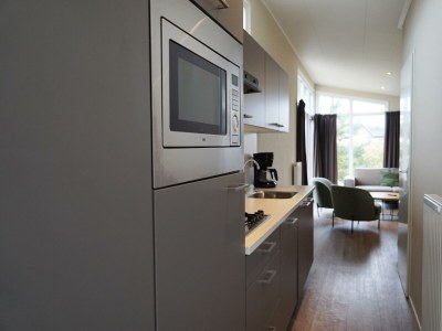 Holiday house Duinlodge 4 + 2 - Outdoor photo 6