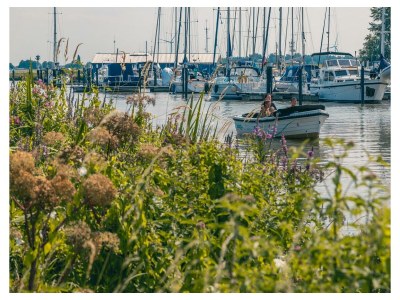 Holiday house Berkel Sauna 4 - Outdoor photo 9