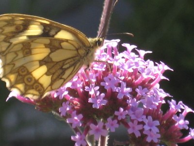 Holiday apartment Lautertalblick - Outdoor photo 15