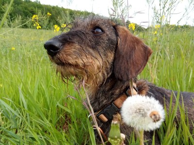 Holiday apartment Lautertalblick - Environment photo 32