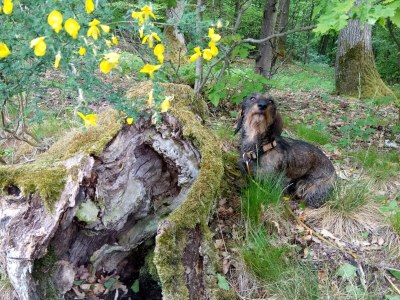 Holiday apartment Lautertalblick - Environment photo 33