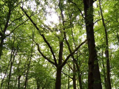 Holiday apartment Lautertalblick - Environment photo 34