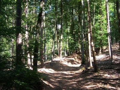 Holiday apartment Lautertalblick - Environment photo 35