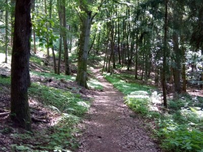 Holiday apartment Lautertalblick - Environment photo 36