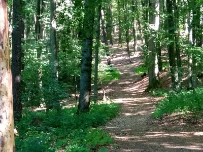 Holiday apartment Lautertalblick - Environment photo 37