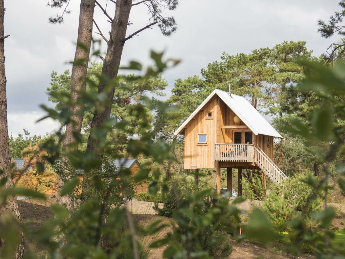 Holiday house Zwerfhut op hoogte 5 - Outdoor photo 2