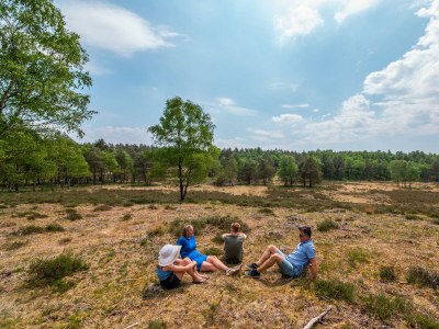 Holiday house Comfort Room Deluxe 2 - Outdoor photo 9