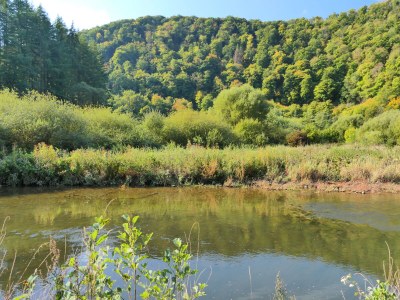 Holiday house Silvanus 4 - Outdoor photo 13