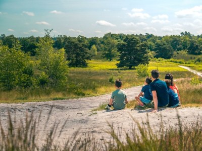 Holiday house Boekhorst 4 - Outdoor photo 8