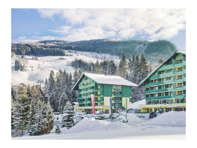 Apartment App. Vogelnest in Schladming-Rohrmoos - Apartment