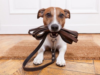 Apartment QUARTIER 179 - Outdoor photo 9