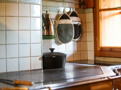 Apartment Alm Anno1904 - Outdoor photo 15