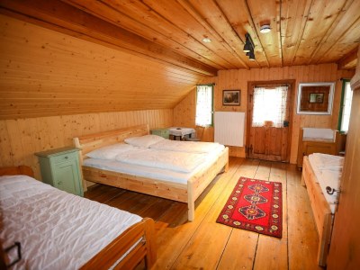 Apartment Alm Anno1904 - Features photo 33