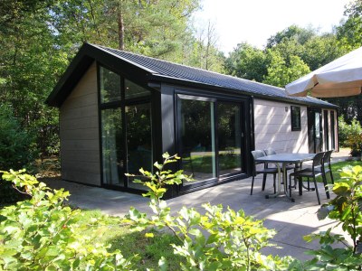 Holiday house Velthorst 4 in Ruinen - Holiday house
