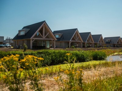 Villa Duinvilla 10 in Cadzand - Villa