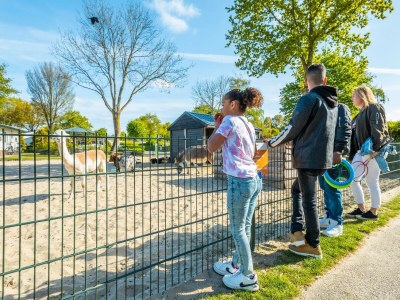 Holiday house Unique 4 - Outdoor photo 9