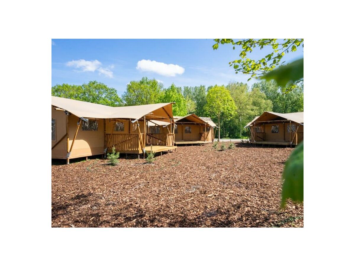 Holiday house Lodgetent 4