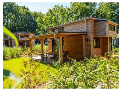 Holiday house Tiny House 4 in Hulshorst - Holiday house