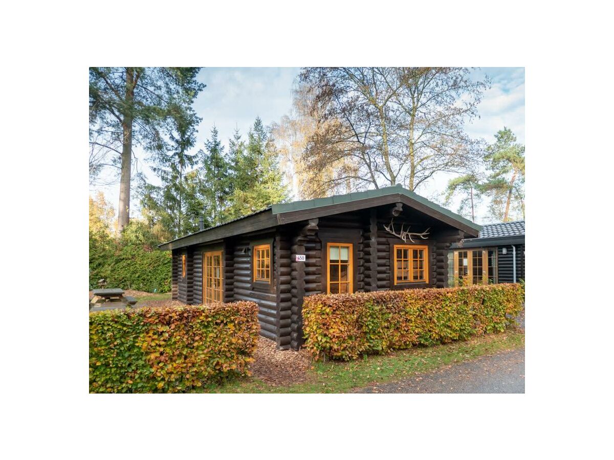 Holiday house Boekhorst 5