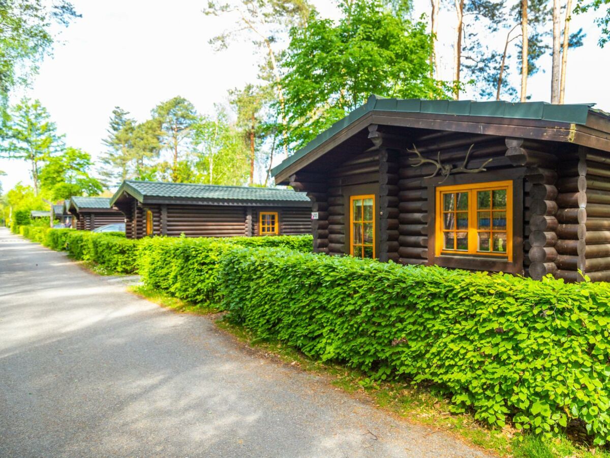 Holiday house Boekhorst 5 - Outdoor photo 2