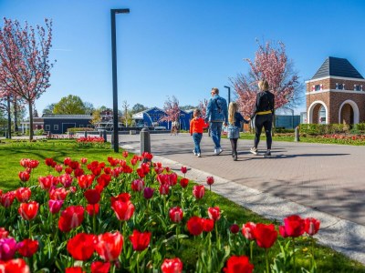 Holiday house Tiny House 2 - Outdoor photo 10
