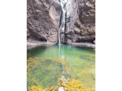 Holiday apartment Parque Rey Carlos - Environment photo 37