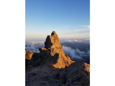 Holiday apartment Parque Rey Carlos - Environment photo 38