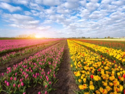 Holiday house J 082 - Outdoor photo 15