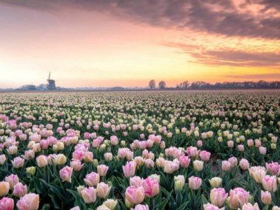 Holiday house J 087 - Outdoor photo 12