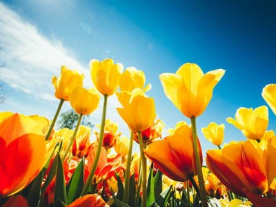 Holiday house J 128 - Outdoor photo 12