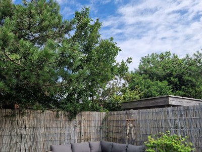 Holiday house J 231 - Outdoor photo 19