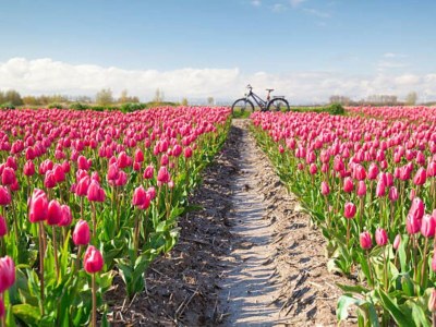 Holiday house Kampeerhut - Outdoor photo 16