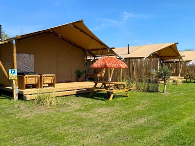 Holiday house Safari Lodge A in Petten - Holiday house
