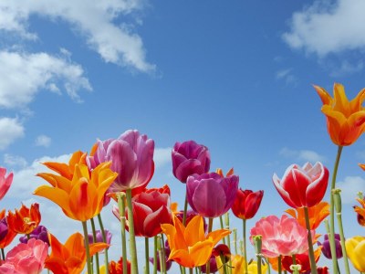 Holiday house Safari Lodge A - Outdoor photo 18