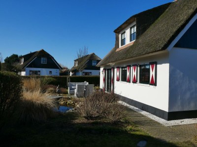 Holiday house Buitenplaats 140 - Outdoor photo 25